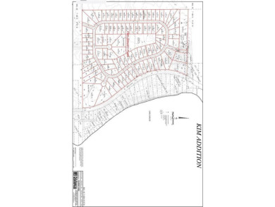 Lake Carlos Commercial For Sale in Carlos Twp Minnesota