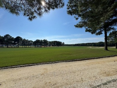 Build your coastal dream home on Homesite 58 in The Hollies at - photo 5