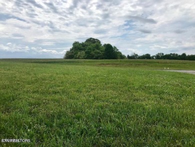 Lake Lot For Sale in Vonore, Tennessee