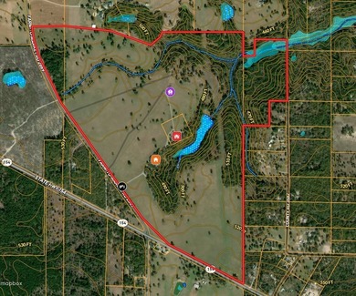Positioned equidistant from Quitman, Winnsboro, and Gilmer, this - photo 40