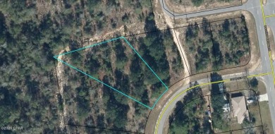 Boat Lake Lot For Sale in Chipley Florida