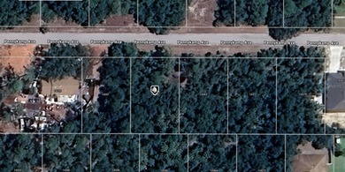 Port Charlotte Waterway Lakes Area Lot For Sale in Port Charlotte Florida