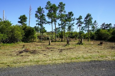 Build your coastal dream home in the desirable Piney Island - photo 3