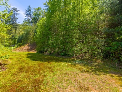 Private, usable acreage like this is hard to find-5 unrestricted - photo 50