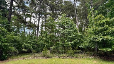 Unique level wooded home site located on a circular corner with - photo 2