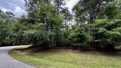 Unique level wooded home site located on a circular corner with - photo 4