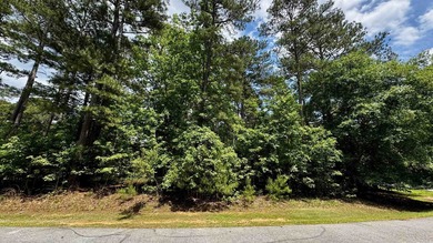 Unique level wooded home site located on a circular corner with - photo 5