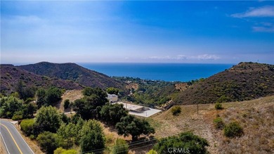 5767 latigo canyon Rd - photo 13