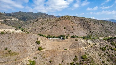5767 latigo canyon Rd - photo 40