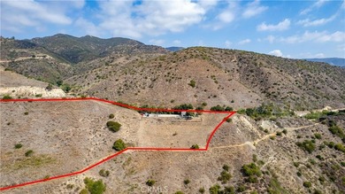 5767 latigo canyon Rd - photo 41