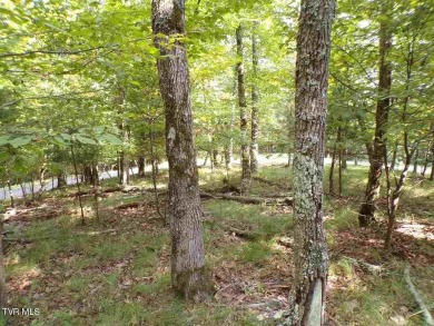 Cherokee Lake Lot For Sale in Mooresburg Tennessee