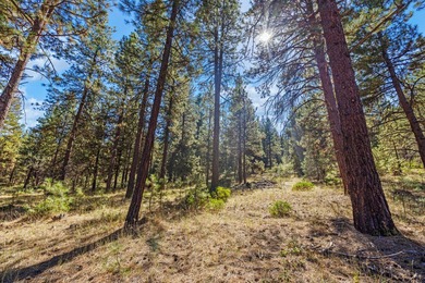 Upper Klamath Lake Acreage For Sale in Klamath Falls Oregon
