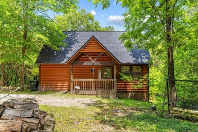 Lake Home For Sale in Golden, Missouri