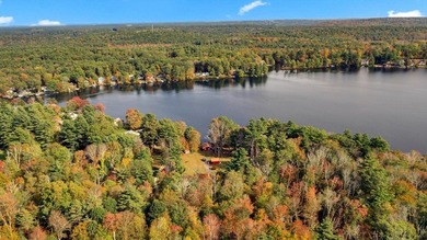 Calling all Waterfront Visionaries! The Best Spot on the Lake! - photo 29