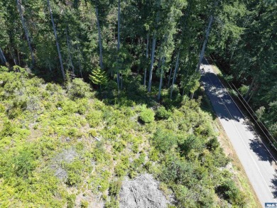 Lake Lot Sale Pending in Quilcene, Washington