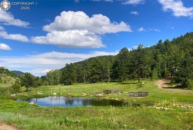 Welcome to Spencer's Mountain: A private, secluded log home - photo 4