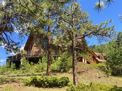 Welcome to Spencer's Mountain: A private, secluded log home - photo 5