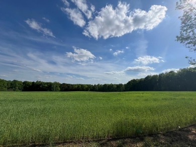 Lake Lot For Sale in Alton, Virginia