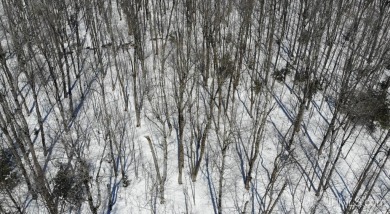 Lake Lot For Sale in Bergland, Michigan