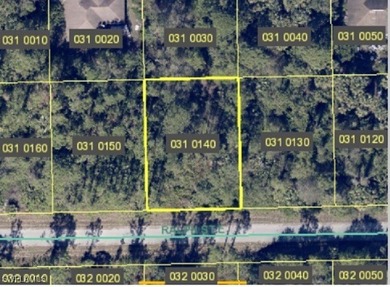 Lehigh Acres Area Lot For Sale in Lehigh Acres Florida