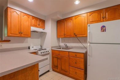 Welcome to 18 Sheryl Lane, a spacious raised ranch nestled on a - photo 29