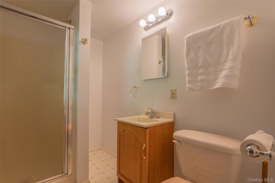 Welcome to 18 Sheryl Lane, a spacious raised ranch nestled on a - photo 31