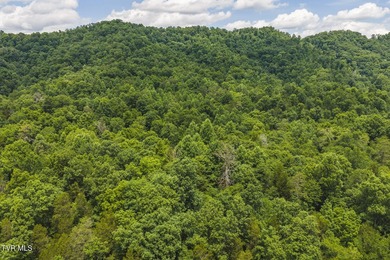 150+/- Acres on the Clinch River -- Unrestricted Mountain Land - photo 12