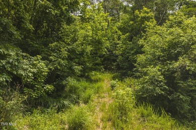 150+/- Acres on the Clinch River -- Unrestricted Mountain Land - photo 19