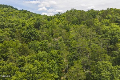 150+/- Acres on the Clinch River -- Unrestricted Mountain Land - photo 20