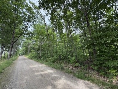 Endless possibilities with this parcel that boasts deeded water - photo 3