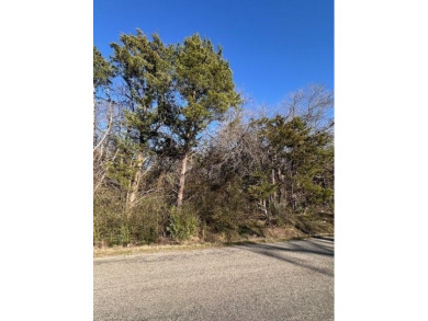 Lake Lot For Sale in Gordonville, Texas