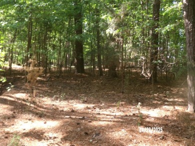 Lake Lot For Sale in Clarksville, Virginia