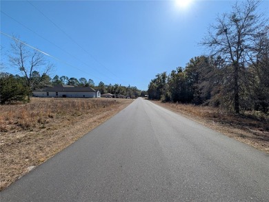 HUGE BUILDABLE LOT - NEARLY 1 ACRE IN DUNNELLON! Rare - photo 2