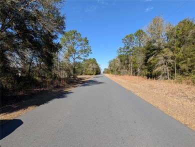 HUGE BUILDABLE LOT - NEARLY 1 ACRE IN DUNNELLON! Rare - photo 3