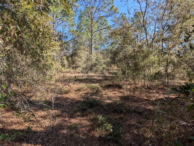HUGE BUILDABLE LOT - NEARLY 1 ACRE IN DUNNELLON! Rare - photo 4