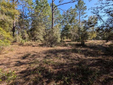 HUGE BUILDABLE LOT - NEARLY 1 ACRE IN DUNNELLON! Rare - photo 5