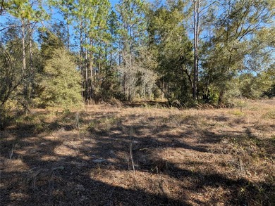 HUGE BUILDABLE LOT - NEARLY 1 ACRE IN DUNNELLON! Rare - photo 6
