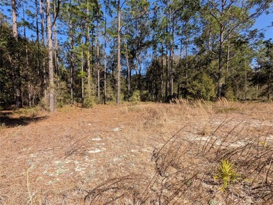 HUGE BUILDABLE LOT - NEARLY 1 ACRE IN DUNNELLON! Rare - photo 7