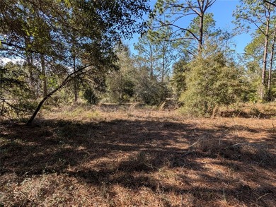 HUGE BUILDABLE LOT - NEARLY 1 ACRE IN DUNNELLON! Rare - photo 8