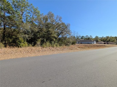 HUGE BUILDABLE LOT - NEARLY 1 ACRE IN DUNNELLON! Rare - photo 9