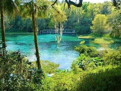 HUGE BUILDABLE LOT - NEARLY 1 ACRE IN DUNNELLON! Rare - photo 10