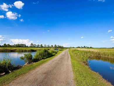 Experience the quintessential Lowcountry lifestyle with this - photo 12