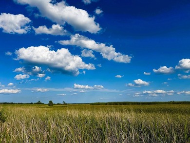 Experience the quintessential Lowcountry lifestyle with this - photo 13