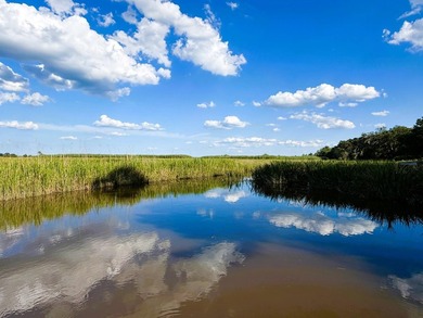 Experience the quintessential Lowcountry lifestyle with this - photo 15