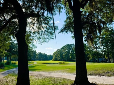 Experience the quintessential Lowcountry lifestyle with this - photo 19