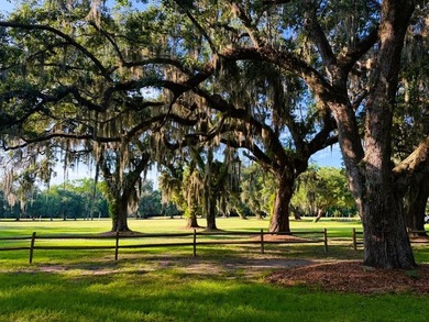 Experience the quintessential Lowcountry lifestyle with this - photo 21