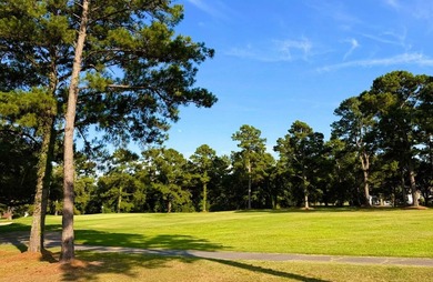 Experience the quintessential Lowcountry lifestyle with this - photo 26