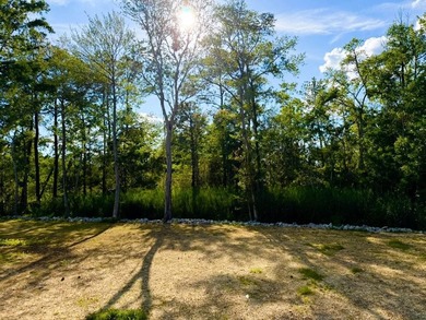 Experience the quintessential Lowcountry lifestyle with this - photo 28