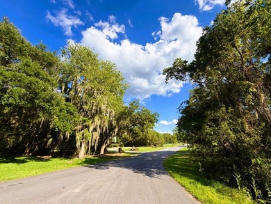 Experience the quintessential Lowcountry lifestyle with this - photo 29