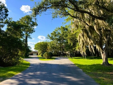 Experience the quintessential Lowcountry lifestyle with this - photo 30